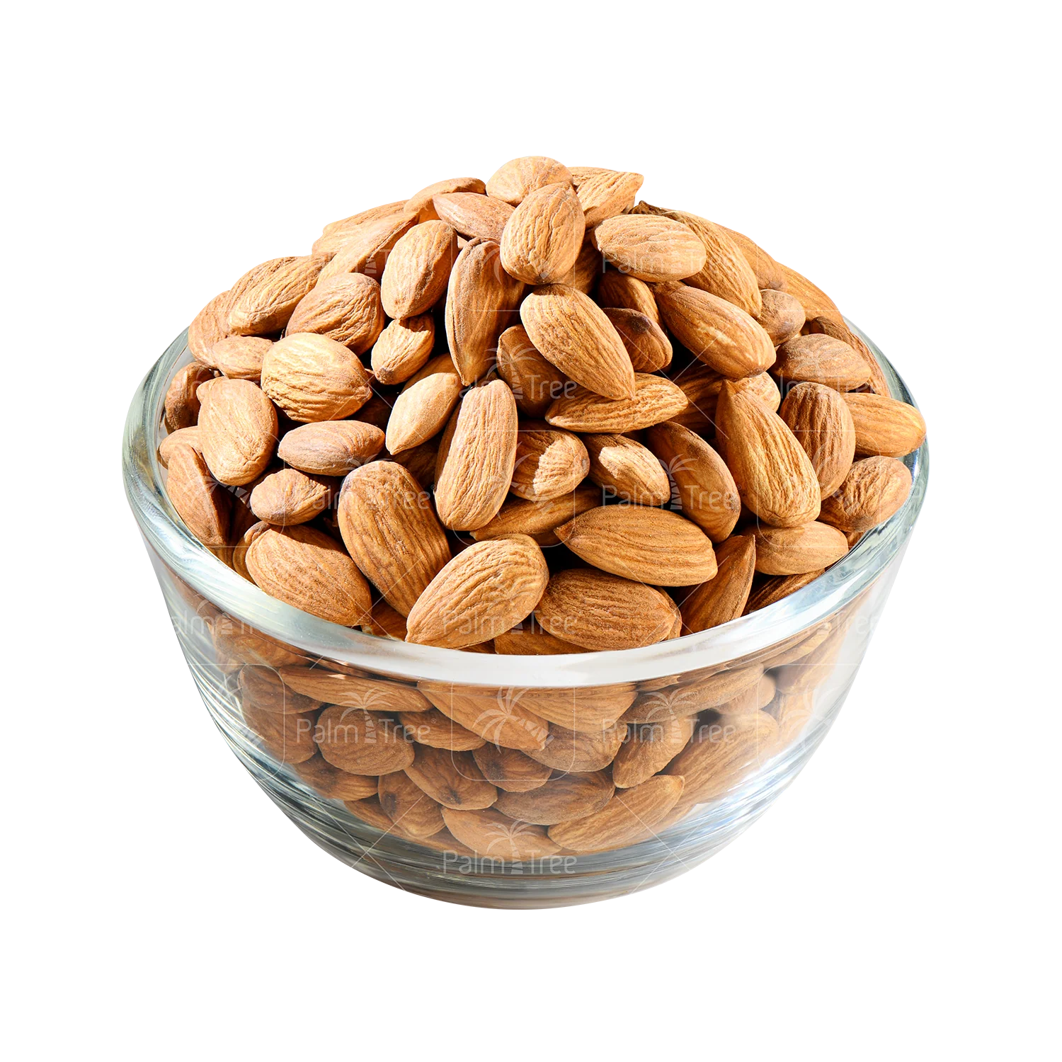 Almond California - Image 2