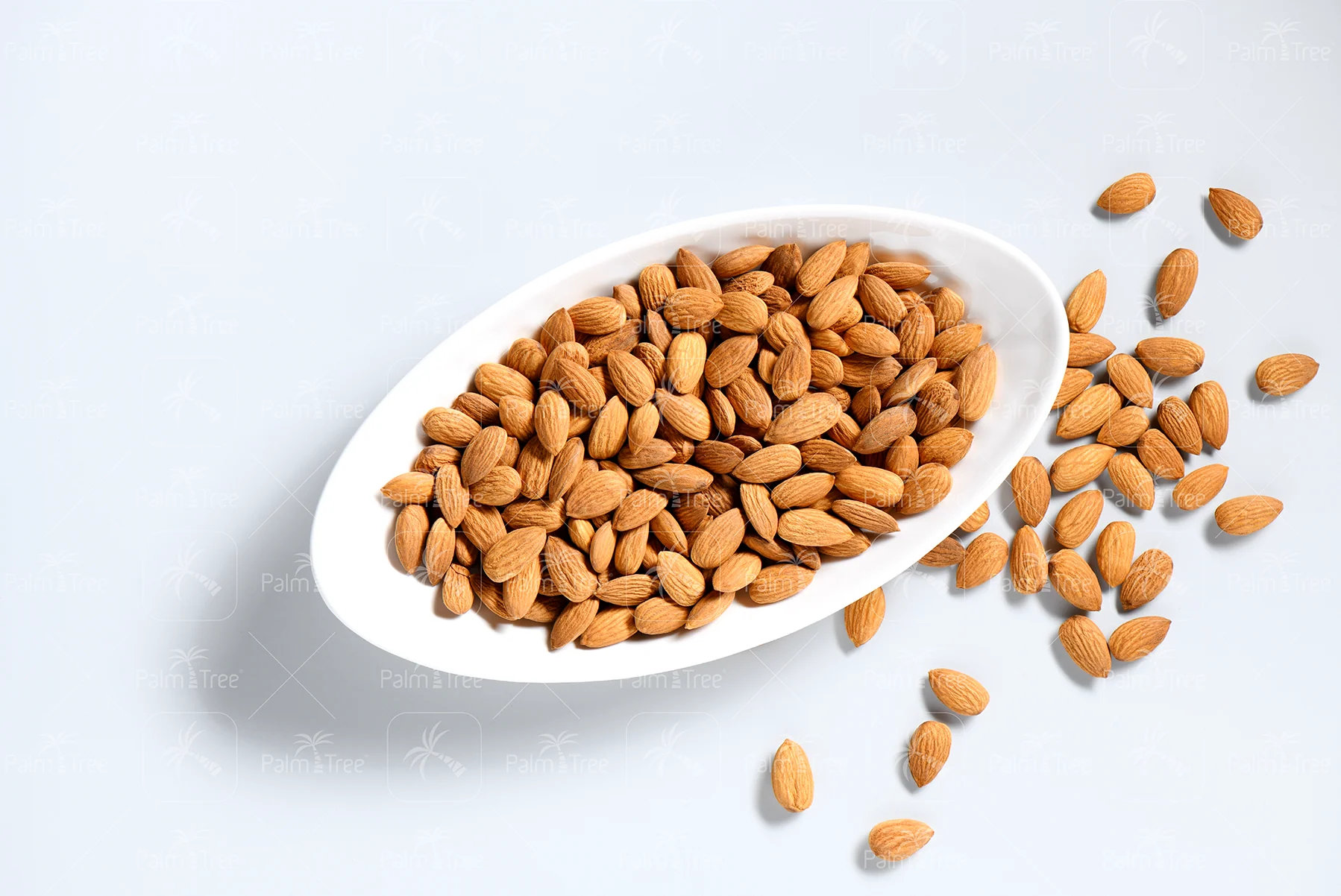 Almond California - Image 3