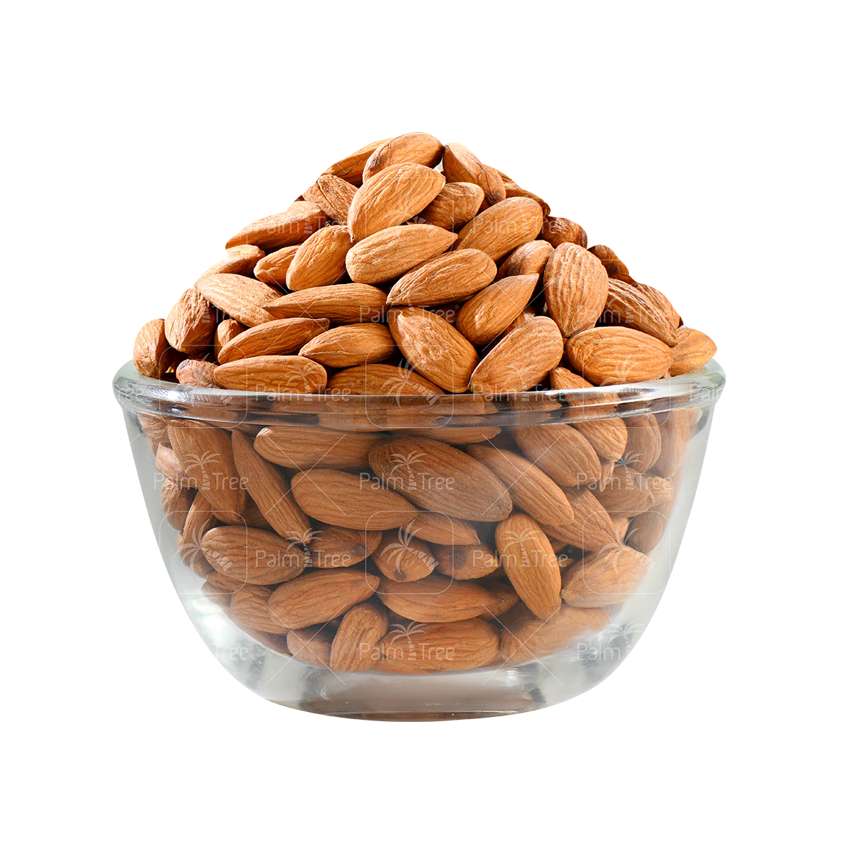 Almond Senora