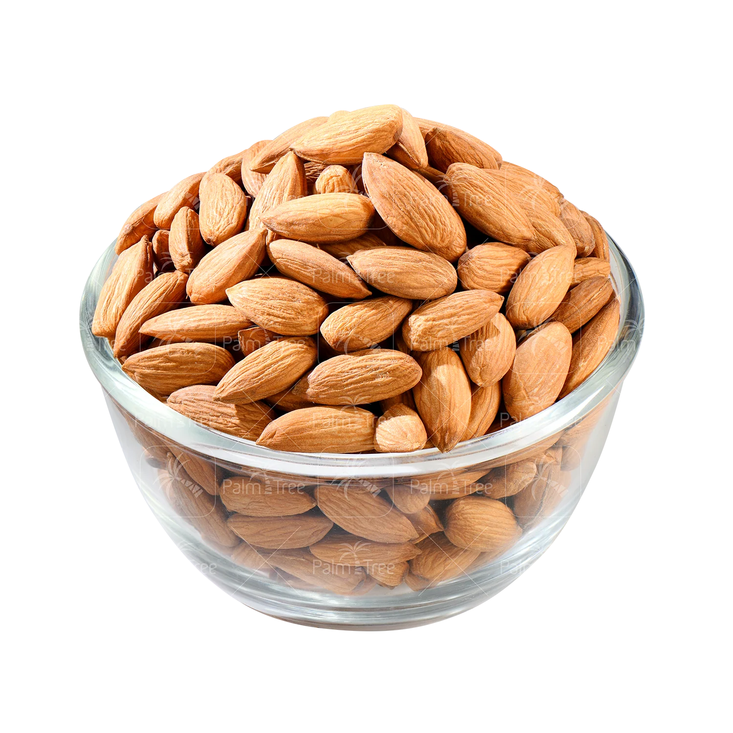 Almond Senora - Image 2
