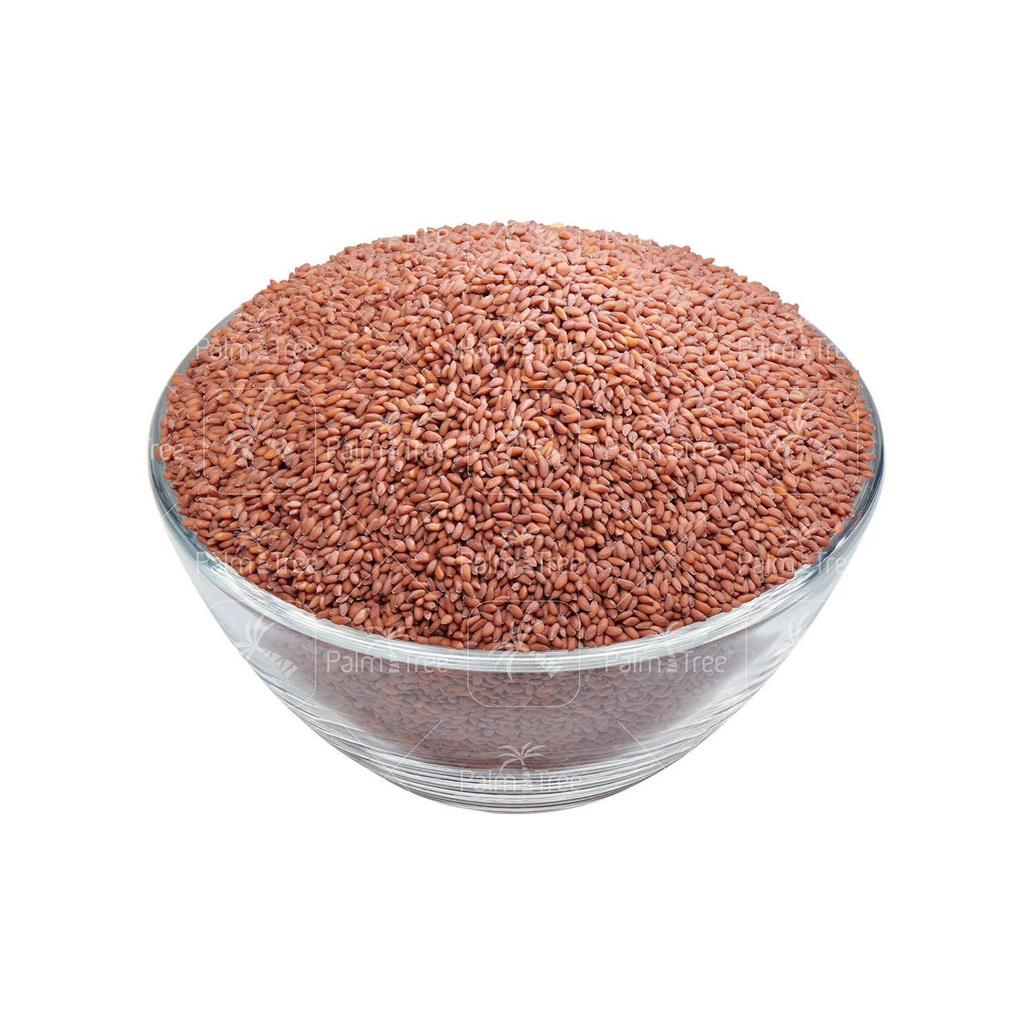 Ashali / Garden Cress Seeds - Image 2