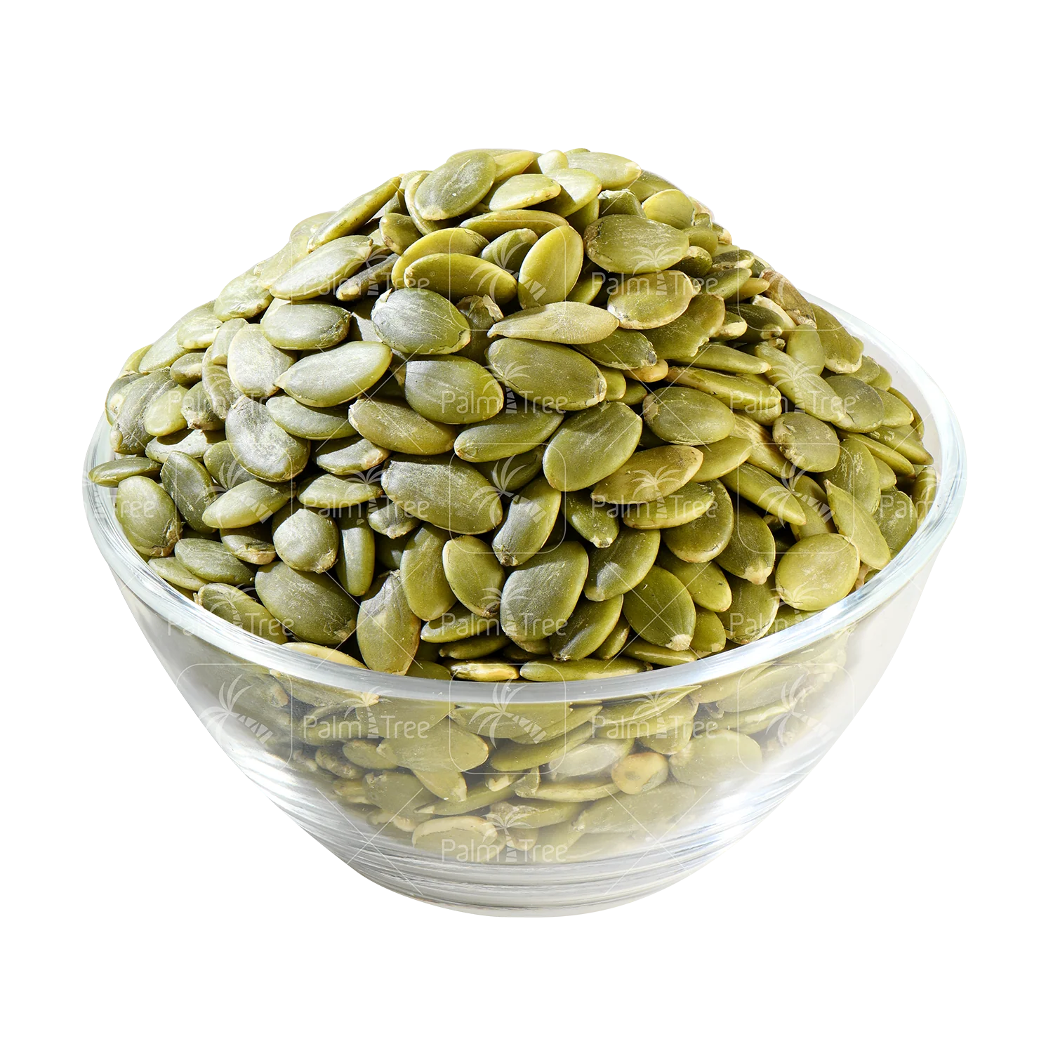 Pumpkin Seed - Image 2