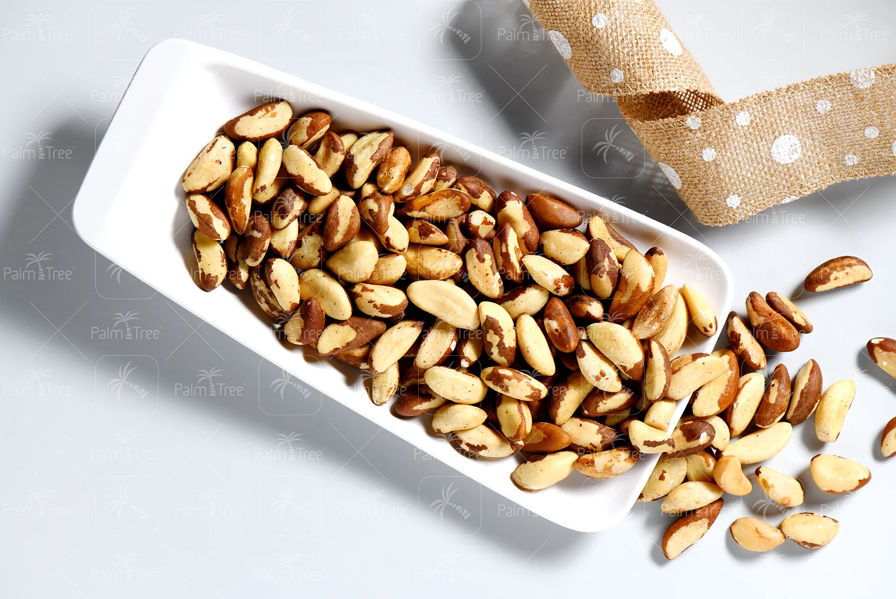 Brazil Nut - Image 3
