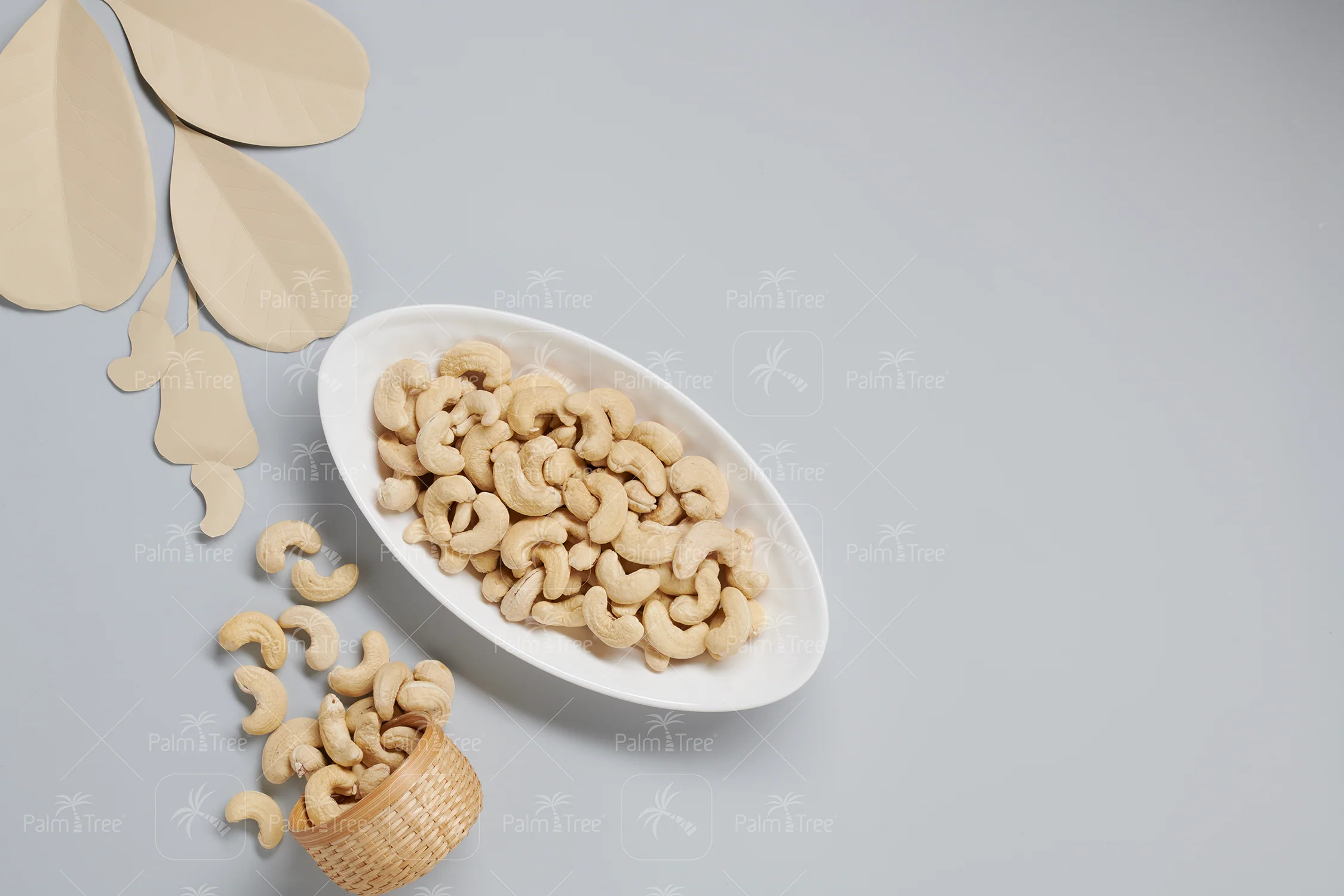 Cashew W150 - Image 3