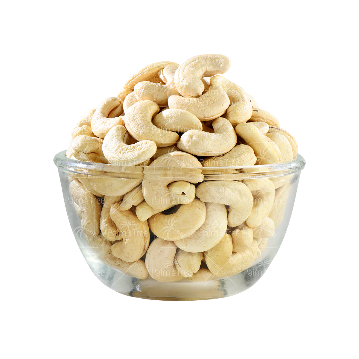 Cashew W180