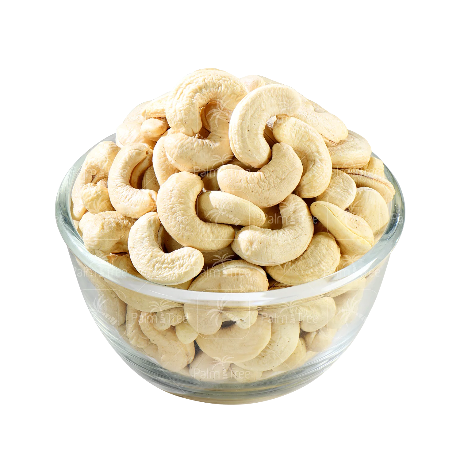 Cashew W180 - Image 2