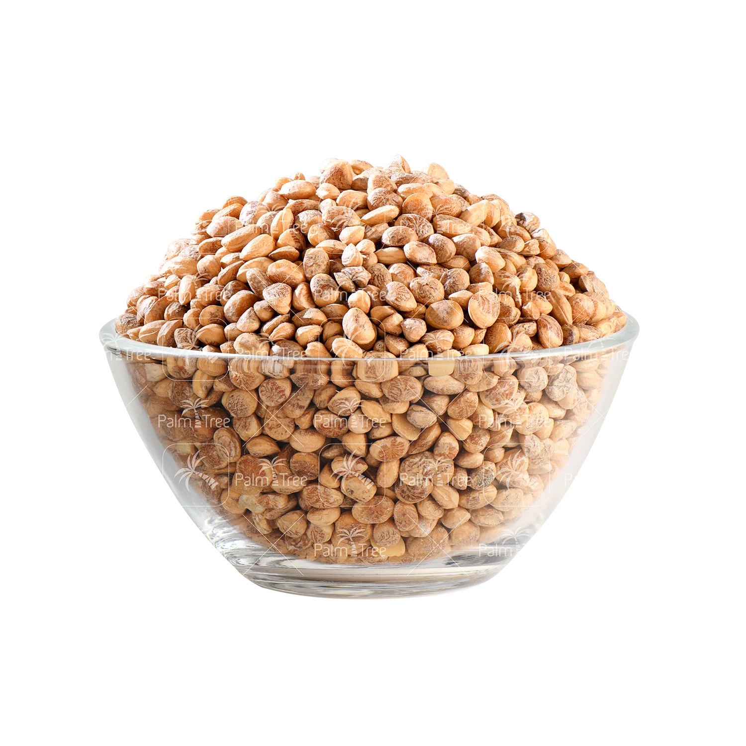 Chironji / Charoli Seeds