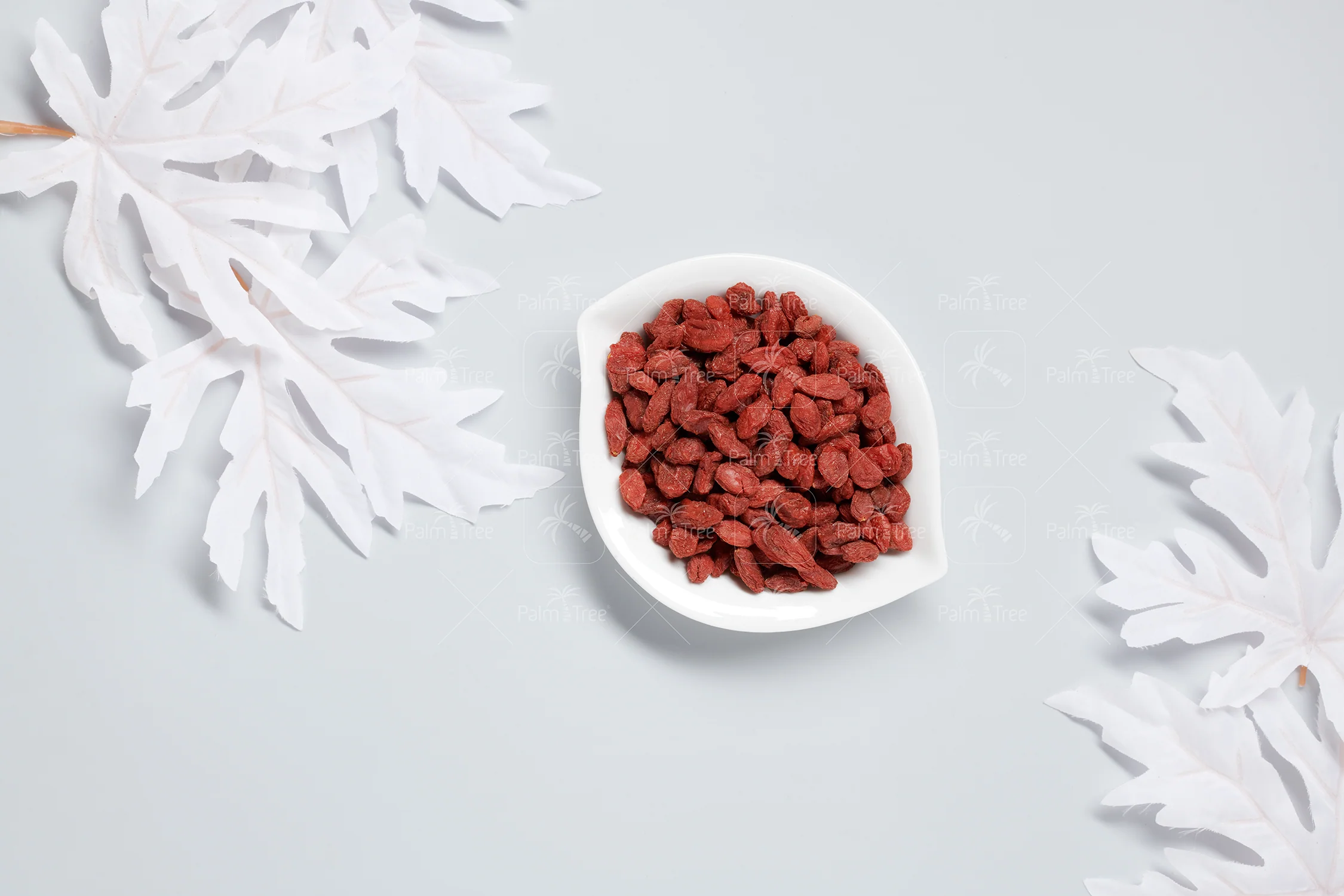 Goji Berry / Wolfberry Dried - Image 3