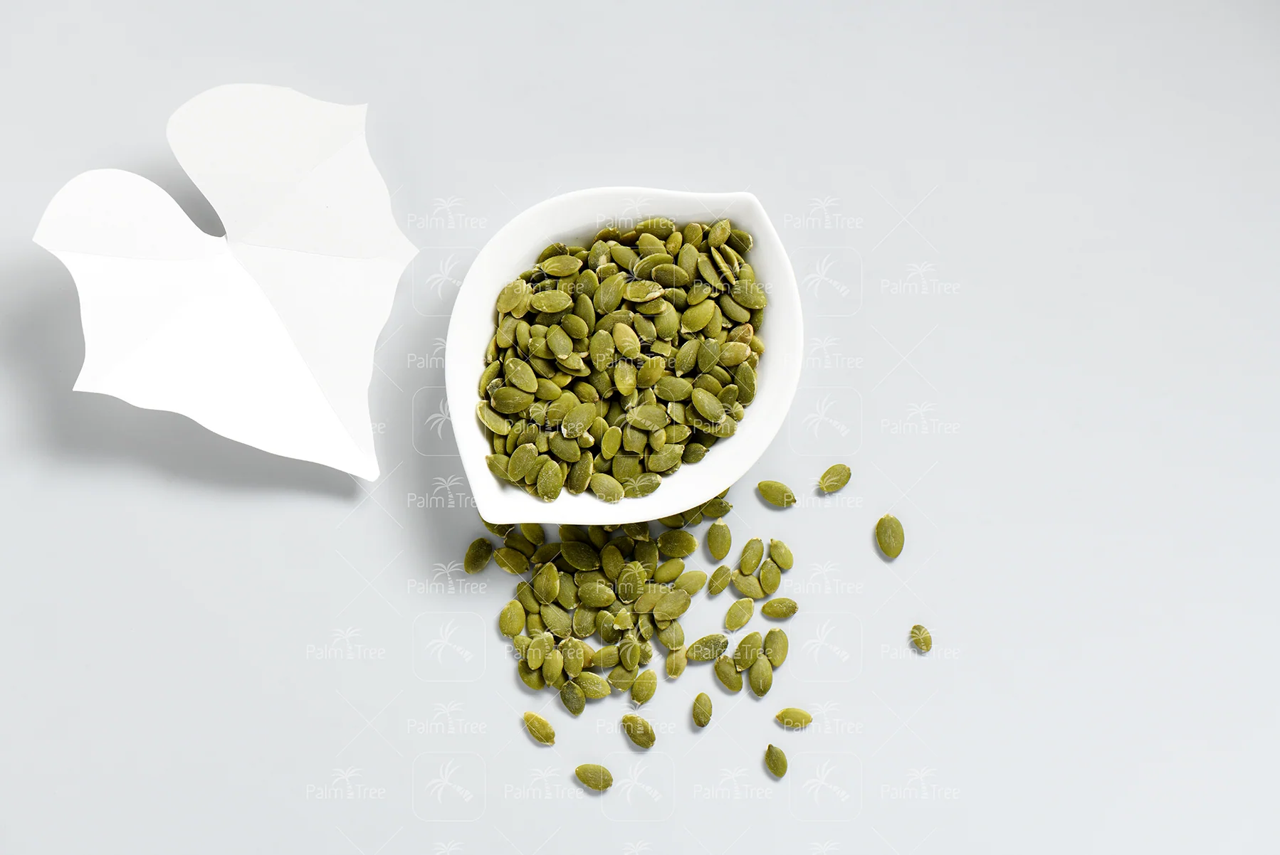 Pumpkin Seed Salt Roasted - Image 3