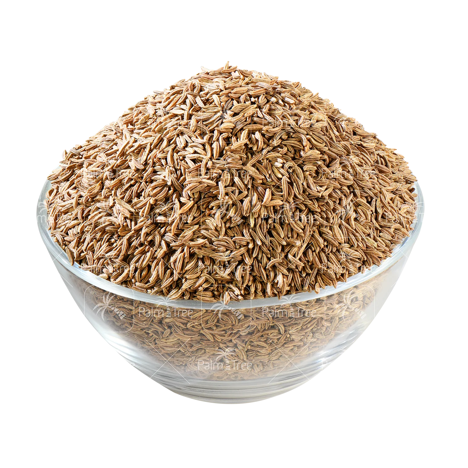 Sha Jeera / Caraway Seeds - Image 2
