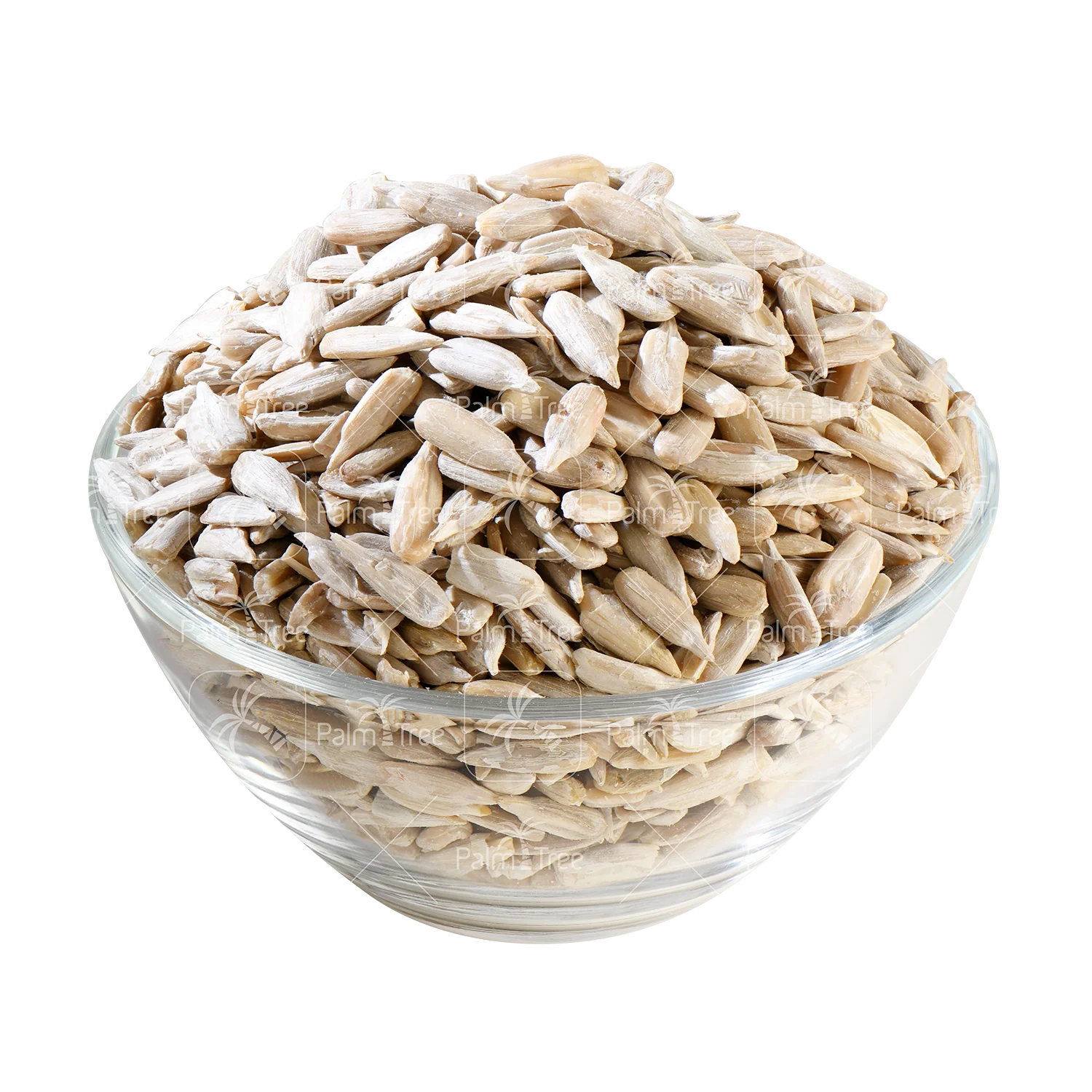 Sunflower Seed - Image 2