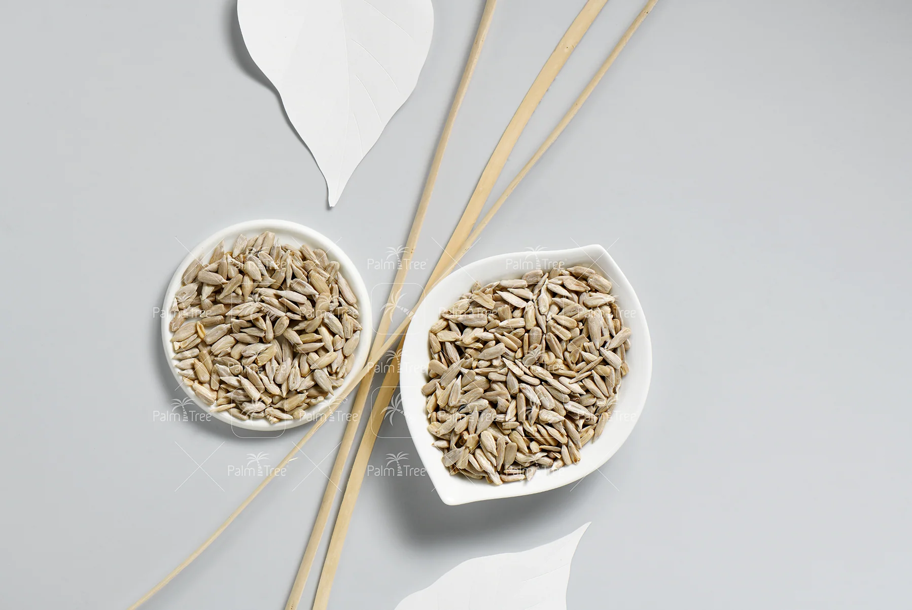 Sunflower Seed - Image 3