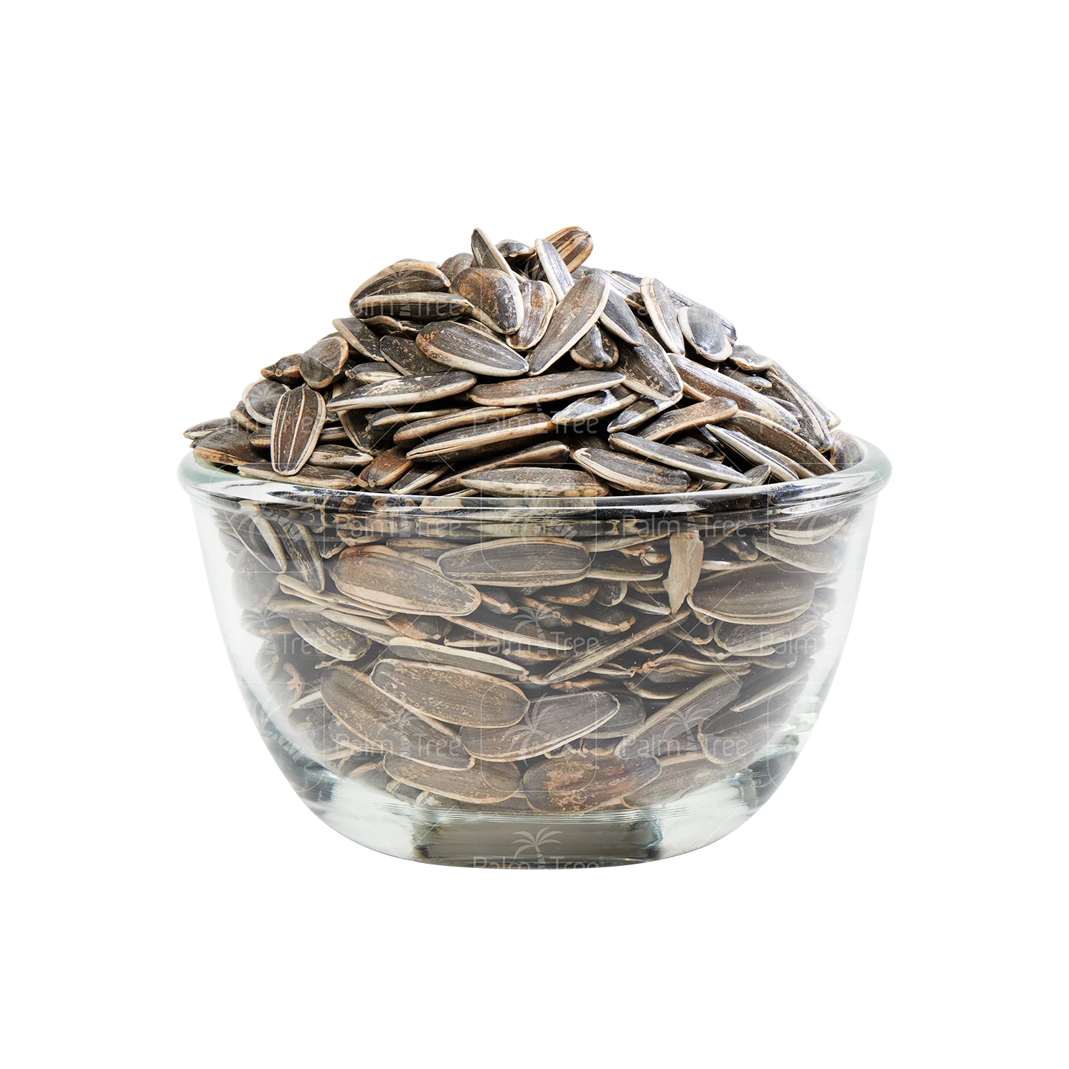 Sunflower Seed With Shell