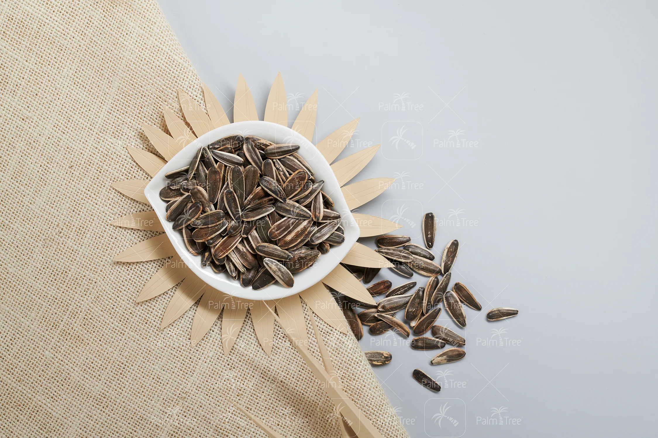 Sunflower Seed With Shell - Image 3