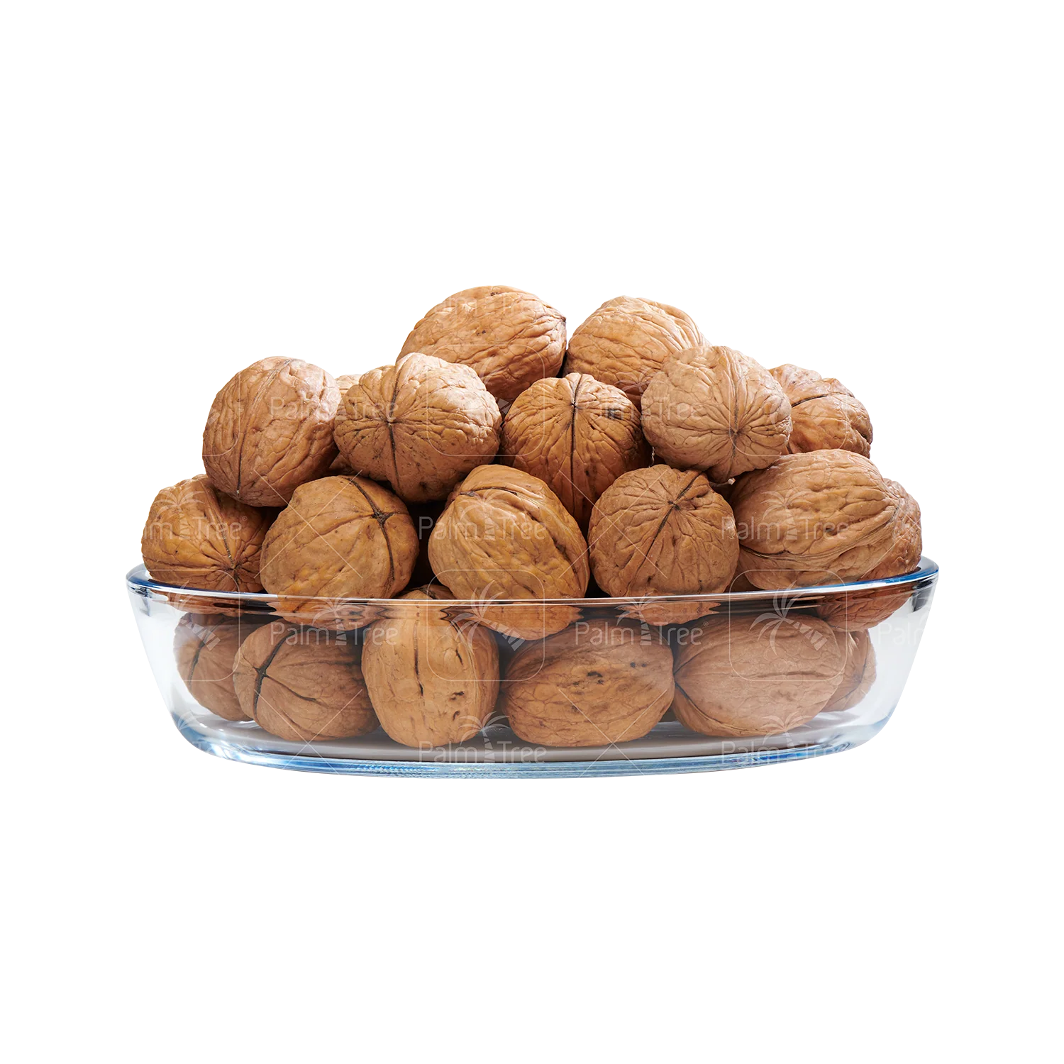 Walnut With Shell